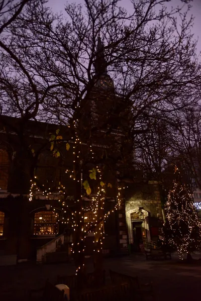 DSC_5956 (Large).JPG